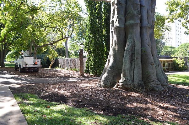 th DSC 0650 th DSC 0650