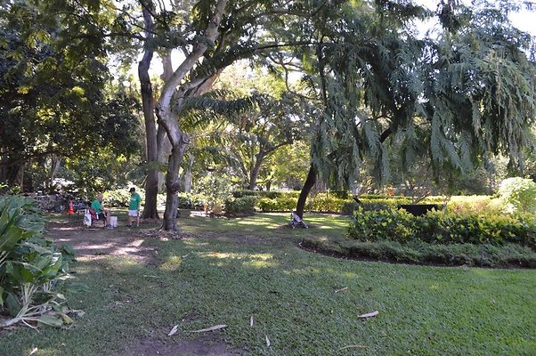 th DSC 0623 th DSC 0623