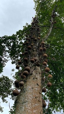 th IMG 3277 IMG 3284 th IMG 3277 IMG 3284