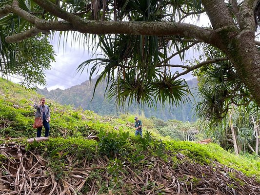 th IMG 2801 th IMG 2801