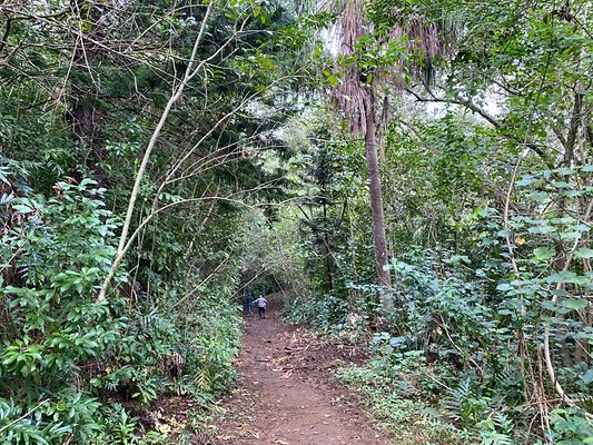 th IMG 2494 th IMG 2494