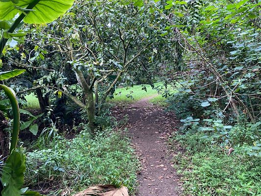 th IMG 2611 th IMG 2611