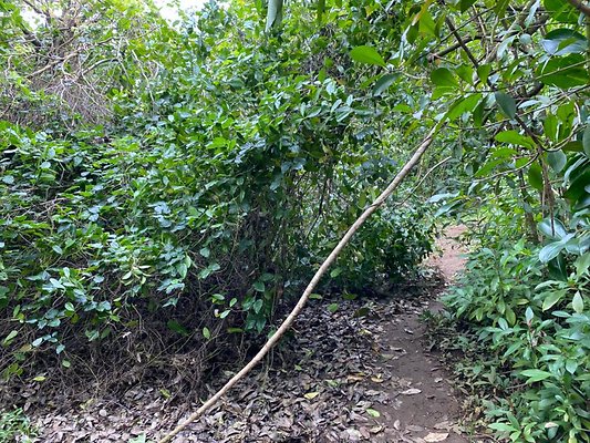 th IMG 2490 th IMG 2490