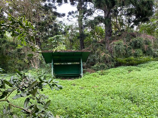 th IMG 2600 th IMG 2600