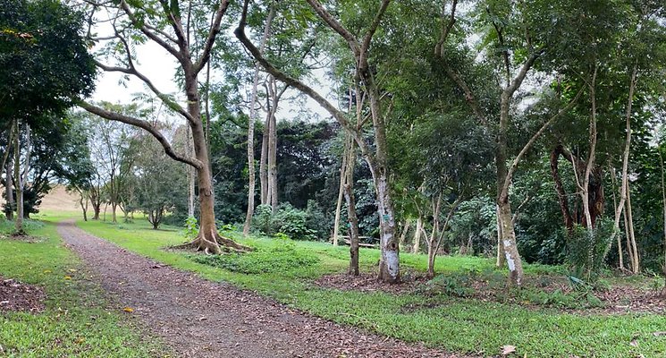 th IMG 3484 IMG 3489 th IMG 3484 IMG 3489