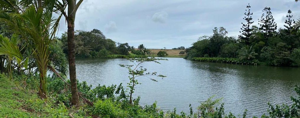 th IMG 2728 IMG 2730 th IMG 2728 IMG 2730