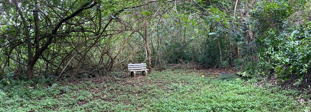 th IMG 2488 IMG 2489 th IMG 2488 IMG 2489