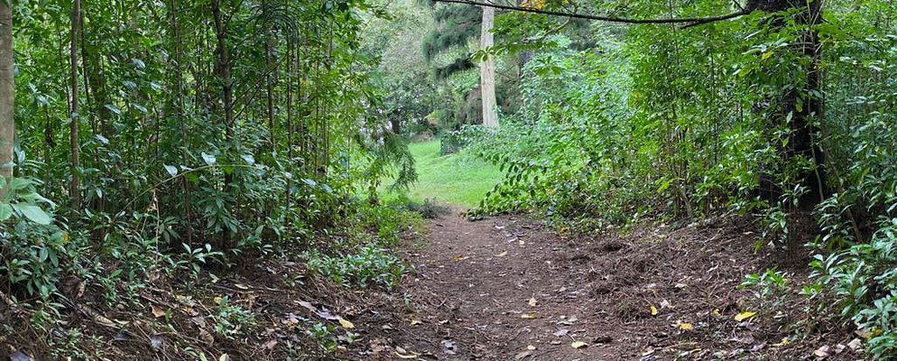 th IMG 2550 IMG 2551 th IMG 2550 IMG 2551