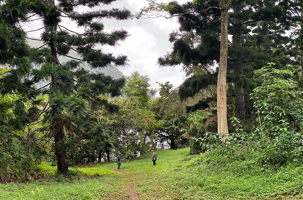 th IMG 2582 IMG 2590 th IMG 2582 IMG 2590