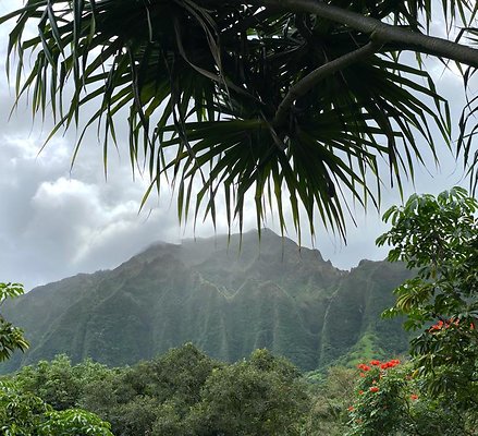 th IMG 2316 IMG 2321 th IMG 2316 IMG 2321