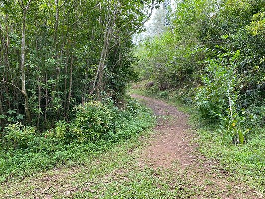 th IMG 2471 th IMG 2471