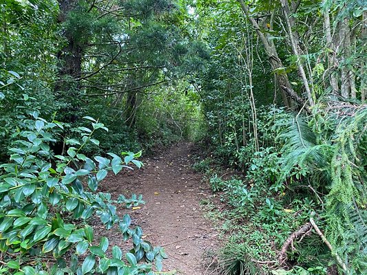 th IMG 2572 th IMG 2572