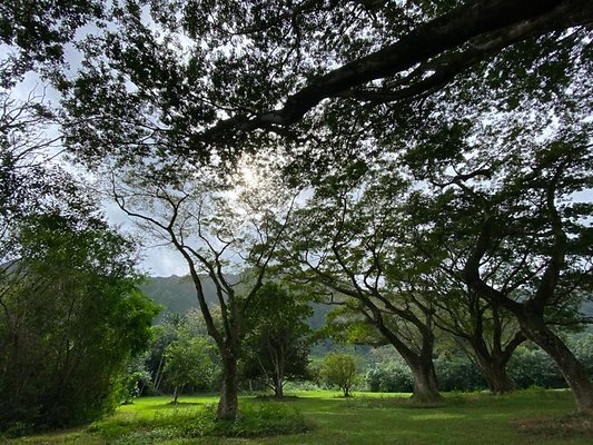 th IMG 2292 th IMG 2292