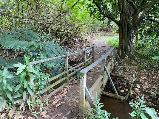 th IMG 2641 th IMG 2641