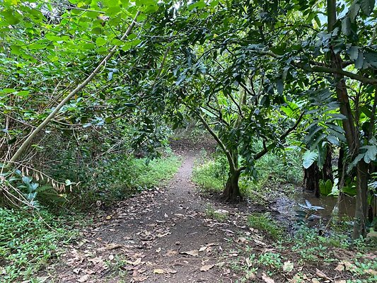 th IMG 2598 th IMG 2598