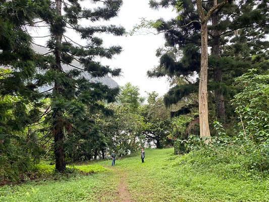 th IMG 2581 th IMG 2581