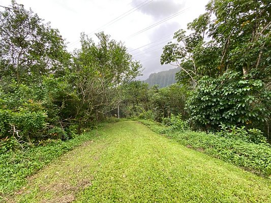 th IMG 2309 th IMG 2309