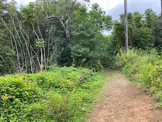 th IMG 2468 th IMG 2468