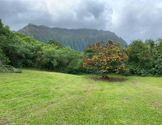 th IMG 2389 th IMG 2389