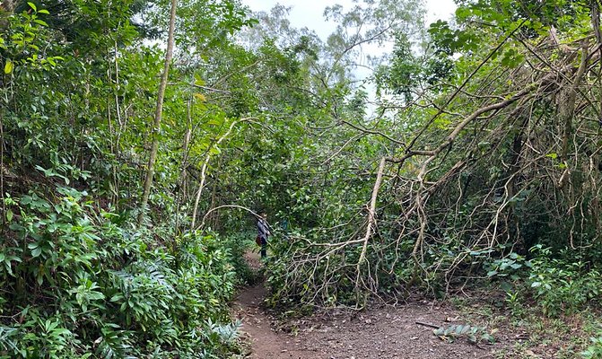 th IMG 2473 IMG 2478 th IMG 2473 IMG 2478