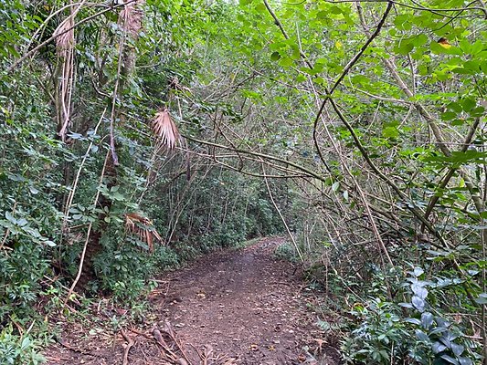 th IMG 2508 th IMG 2508