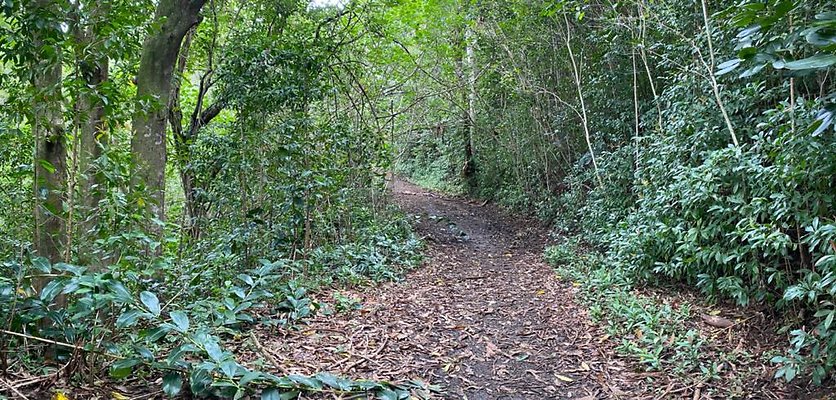 th IMG 2511 IMG 2513 th IMG 2511 IMG 2513