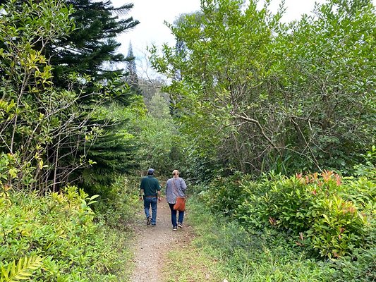 th IMG 2466 th IMG 2466