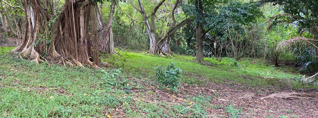 th IMG 3097 IMG 3099 th IMG 3097 IMG 3099