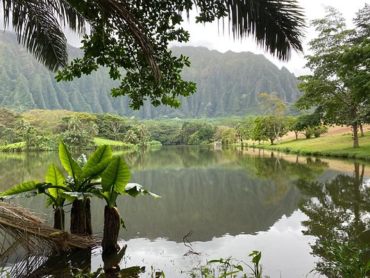 th IMG 3076 th IMG 3076