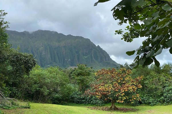 th IMG 2339 IMG 2347 th IMG 2339 IMG 2347