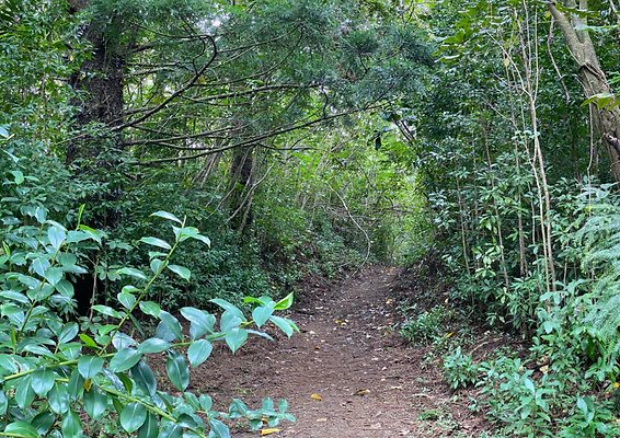 th IMG 2573 IMG 2576 th IMG 2573 IMG 2576