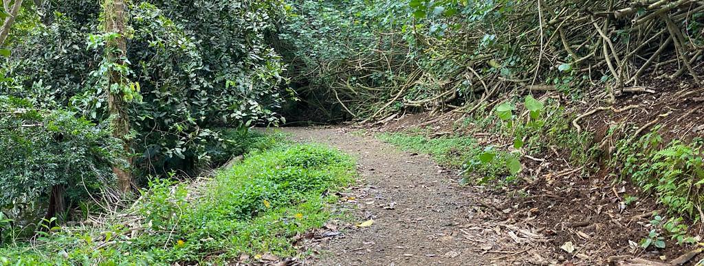 th IMG 2699 IMG 2701 th IMG 2699 IMG 2701