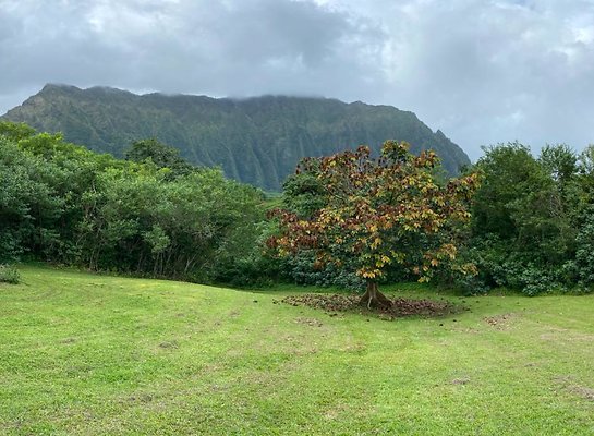 th IMG 2391 IMG 2394 th IMG 2391 IMG 2394