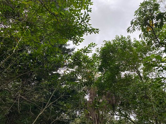 th IMG 2492 th IMG 2492