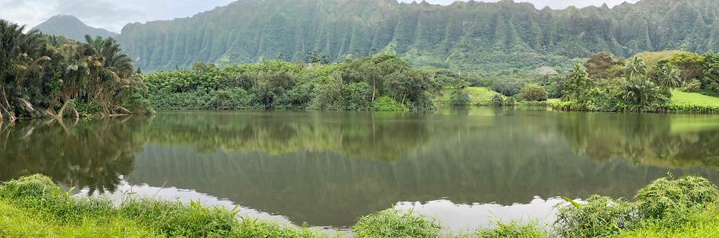 th IMG 3327 IMG 3336 th IMG 3327 IMG 3336