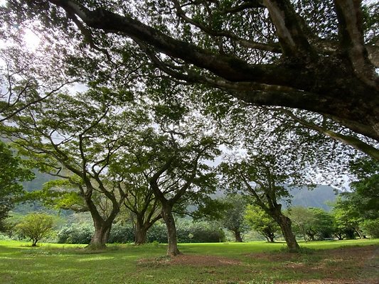 th IMG 2291 th IMG 2291