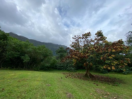 th IMG 2388 th IMG 2388