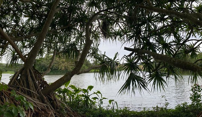 th IMG 2772 IMG 2781 th IMG 2772 IMG 2781