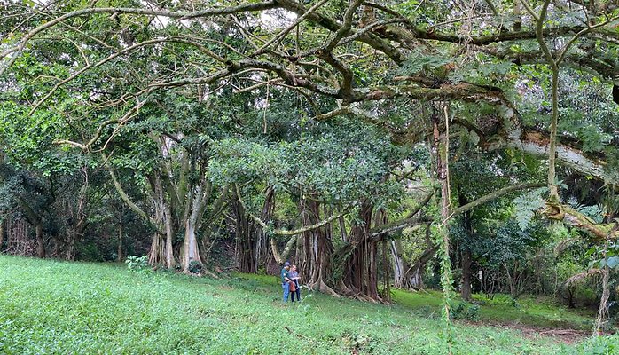 th IMG 3136 IMG 3144 th IMG 3136 IMG 3144