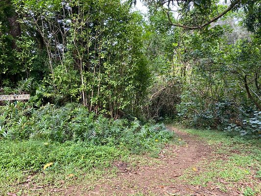 th IMG 2472 th IMG 2472