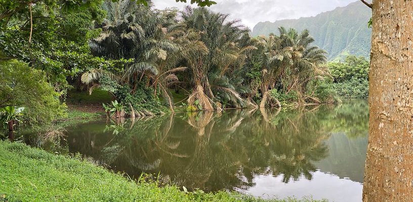 th IMG 3294 IMG 3299 th IMG 3294 IMG 3299