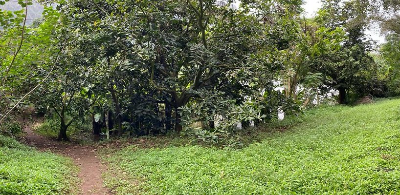 th IMG 2592 IMG 2593 th IMG 2592 IMG 2593