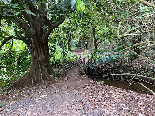 th IMG 2647 th IMG 2647