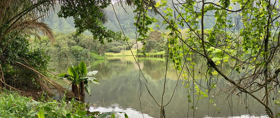 th IMG 3124 IMG 3131 th IMG 3124 IMG 3131