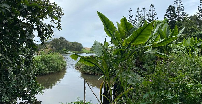 th IMG 2624 IMG 2629 th IMG 2624 IMG 2629