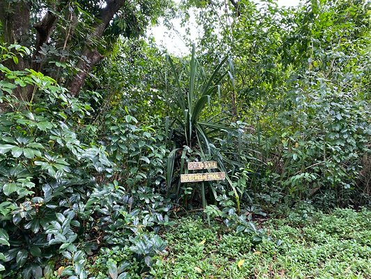 th IMG 2469 th IMG 2469