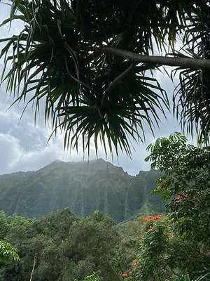 th IMG 2315 th IMG 2315