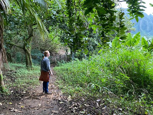 th IMG 2622 th IMG 2622