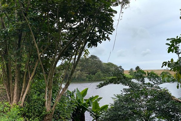 th IMG 2685 IMG 2693 th IMG 2685 IMG 2693