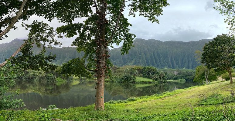 th IMG 3251 IMG 3259 th IMG 3251 IMG 3259